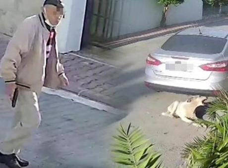 690b5ccaf673ab5ac366fe31 Köpeği silahla vuran emekli polis için istenen ceza belli oldu