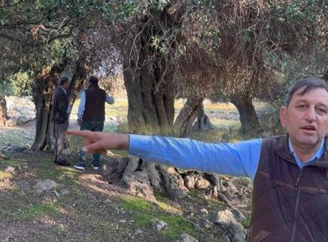 690d9607af6c89f5a1fb4449 Dünyada sadece 4 ülkede var biri Türkiye’de! Bin yıllık gizem: ‘Kim getirmiş bilen yok’