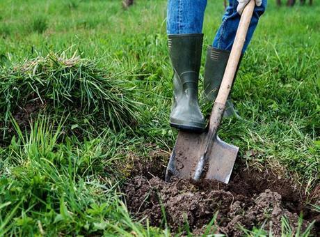 690ddee2b825a93f9901001f Hiç beklemediği anda servet sahibi oldu! Bahçesinden külçe külçe altın çıktı: 'Keşke bizim olsa'