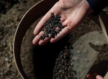 6911a12f3b681ccda5138b76 Van'da 5 bin yıllık arpa taneleri bulundu