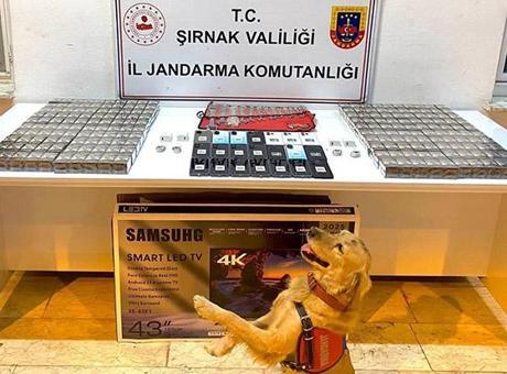 6911ef56f673ab5ac3671c3a Şırnak’ta kaçakçılık ve uyuşturucu operasyonu: 91 gözaltı
