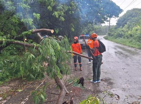 691250643b681ccda5138f14 ABD'den Jamaika'ya yardım taşıyan küçük uçak düştü