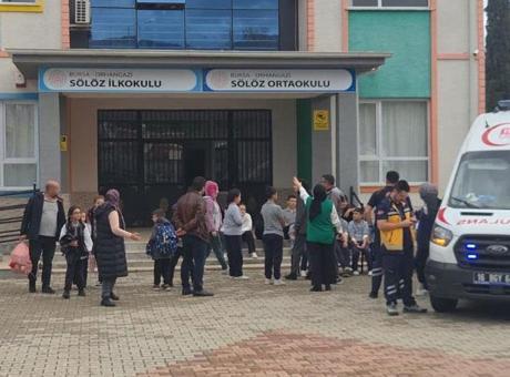 69244424610533a05f3a35d4.jpg