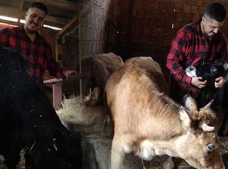 Sisteme dayanamadı kariyeri 'sıfır'ladı: Almanya'da robot olacağıma köyümde çoban olurum