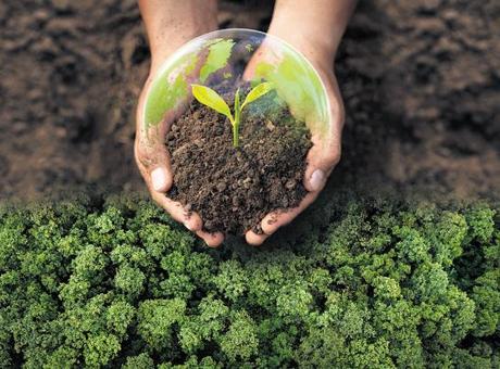 Türkiye’nin İklim Elçileri, Milliyet’e konuştu: ‘COP31’de biz de masada olmalıyız’