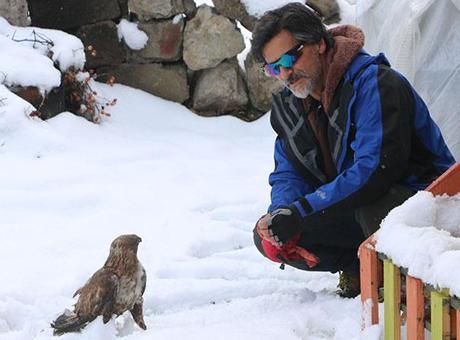 Tedavi edip doğaya bıraktı! Kızıl Şahin 6 ay sonra aynı kapıya geri döndü