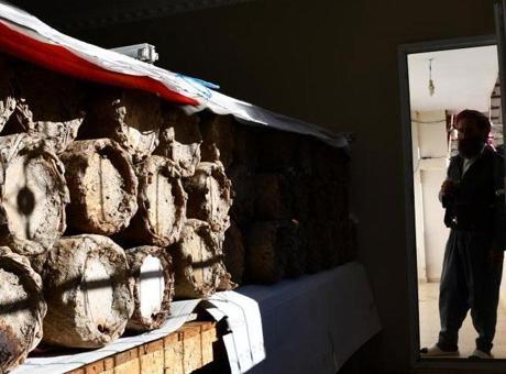 Dünyanın en pahalı ürünü evinin odasından çıkıyor! ‘Kilosunu 10 bin TL’den satıyoruz’