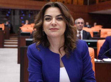 DEM Partili Koçyiğit: Barış yasası çıkarmalı