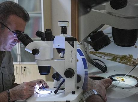 Emekli öğretmen doğa yürüyüşünde yeni bir tür keşfetti! ‘Koruma altına alınması gerekiyor'