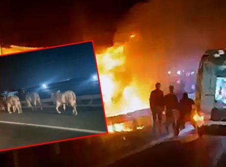 Anguslar alev alan TIR’dan kaçtılar! Hatay otoyolunda yangın dehşeti kamerada