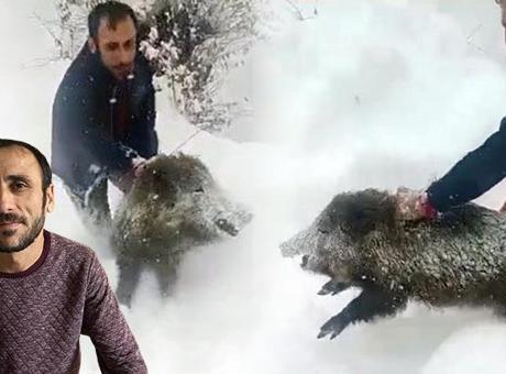 Sürüye dalıp, çıplak eliyle domuz yakaladı! Yaşananları anlattı: Kimse özenmesin, parçalar