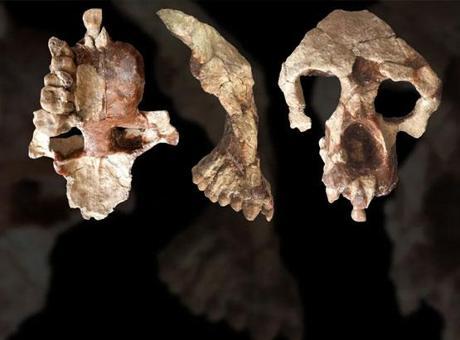 Fas'ta bakanlık duyurdu! Tam 773 bin yıl öncesine ait insan fosilleri