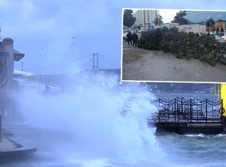 İstanbul'u şiddetli fırtına vurdu: Ağaçlar devrildi, seferler iptal