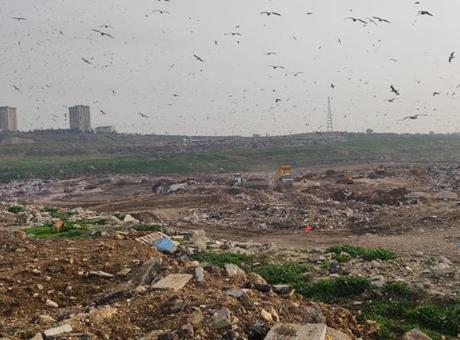 Katı atık tesisinde vahşi depolama yapan Bursa Büyükşehir Belediyesi’ne 1.8 milyon TL ceza