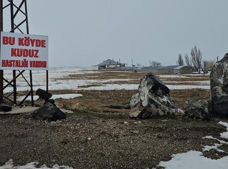 İlçede kuduz alarmı! Karantina uygulaması başlatıldı