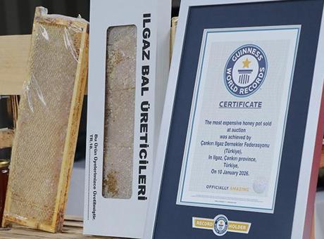 Dünyanın en pahalı balı Ilgaz'da satıldı! Fiyatıyla Guinness Rekorlar Kitabı'na girdi