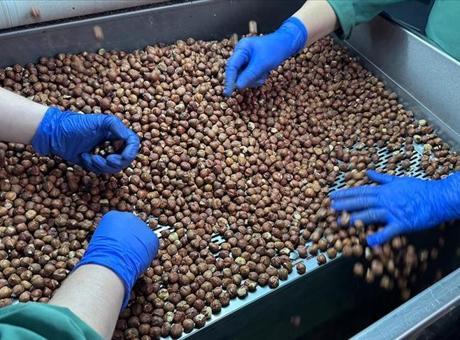 Türkiye en fazla Almanya