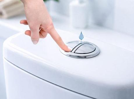 Tuvaletteki küçük düğme bu işe yarıyormuş! Binlerce litre kurtarıyor, cebe tasarruf