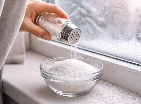 Kışın evdeki küfü yok ediyor! Perdelerin arkasına serpince herkesi şaşırtıyor