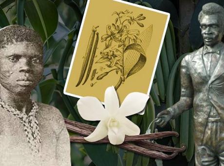 Çocuk kölenin parmaklarından vanilya döküldü! Arıları taklit edip elle üretti, adı gizlendi