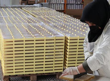 Dünya Sivas’ı konuşuyor! ‘Avrupa, Asya, ABD ve Kanada'ya gönderiyoruz’