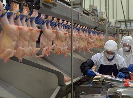 ‘Zarar içeriden fiyat düşmez’