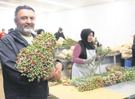 75 milyon dal çiçek Avrupa’ya gitti