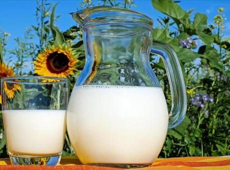 Toplanan inek sütü miktarı azaldı