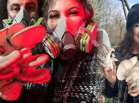 Şehri bırakıp köyde mantar üreticisi oldular! ‘Orta vadede tatmin edici geliri var’