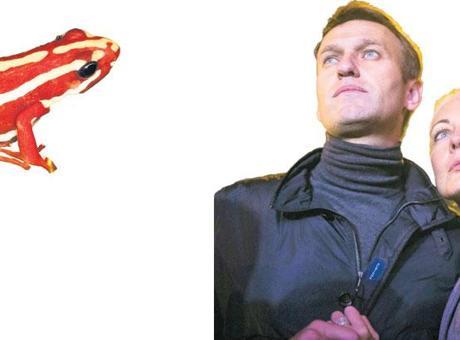 Dünya bu zehri konuşuyor