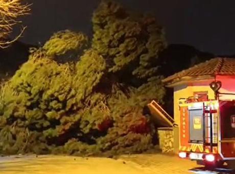 Meteoroloji uyarmıştı! Manisa’da kuvvetli fırtına hayatı olumsuz etkiledi