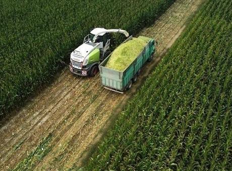 Tarım ÜFE ocakta aylık bazda yüzde 8,46 arttı