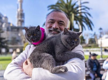 Omuzda İstanbul turu! 'Seyyah Kedi' Reis’e kızı Pera da katıldı: İkili sokak sokak geziyor