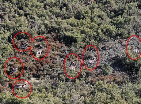 İstanbul'un yanı başı! Görüntüleri izleyen bölgeye akın etti: ‘Uzaktan izliyoruz’