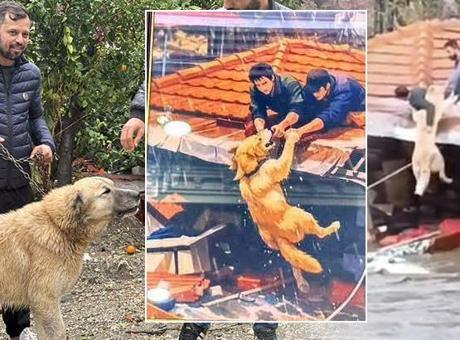 Paşa'yı canı pahasına korudu, o anları anlattı: Kaysam da yine tutardım