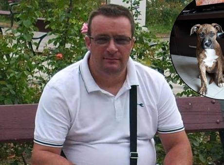 52 yaşındaki adam 3 köpeği tarafından yendi! İtalya'da dehşet veren olay