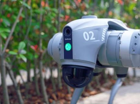 Hint Galgotias Üniversitesi, Çin yapımı robotu kendileri yapmış gibi gösterdi