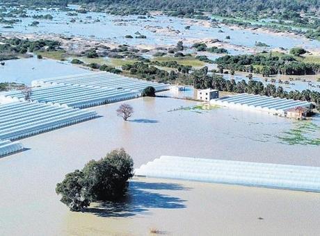 Buğday, arpa, kışlık sebzeler zarar gördü: Sağanak, tarım alanlarını vurdu