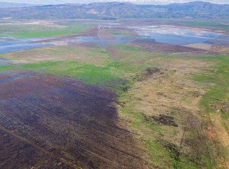 Terk edilmişti! Marmara Gölü’nde 10 yıl sonra heyecanlandıran detay