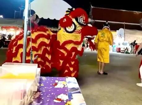 Polisten 'aslan dansı' kostümlü operasyon! Azılı hırsız yakayı böyle ele verdi