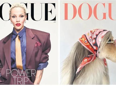Vogue’dan Dogue davası