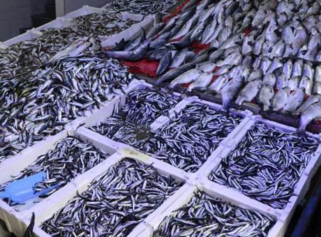 Ramazan ayı ve bayramda balık satışları düştü