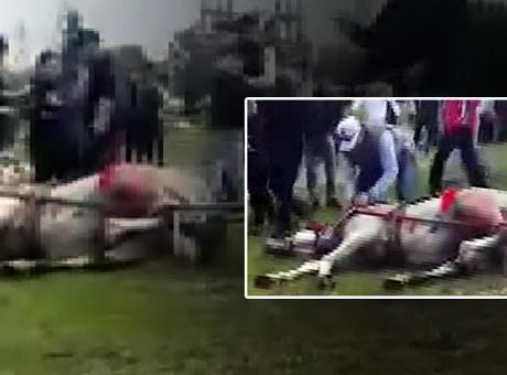 Adana’da dehşet anları! Koşmayan ata acımasız işkence
