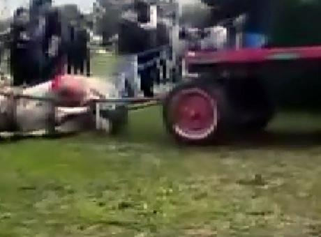 Yer: Adana! Koşmayan ata acımasız işkencede karar çıktı