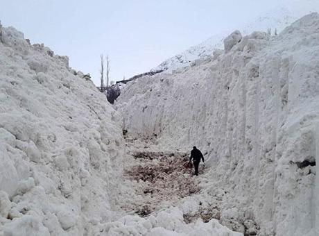 Daltonlar’ın planı deşifre oldu! Saldırı emri ‘elma’ koduyla geldi