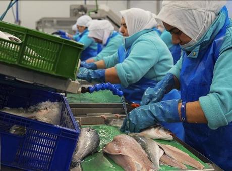 Su ürünlerinde iki aylık ihracattaki yüksek artış, yeni rekor beklentisini artırdı