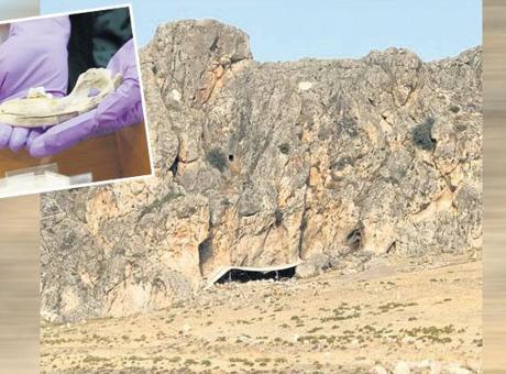 En eski köpek DNA’sı bizde