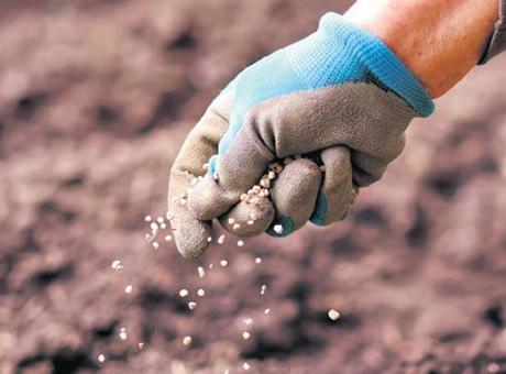 ‘Üreticiler maliyetler karşısında korunmalı’