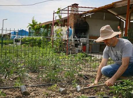 Hobi bahçelerine ceza yağdı!