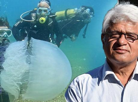 Antalya Körfezi'nde 10 kiloluk dev tehlike! Uzmanı uyardı: Sakın yaklaşmayın